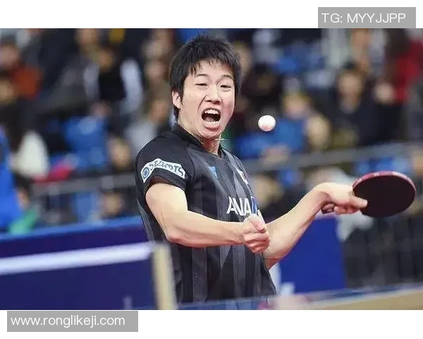 乒乓球精神:杭州乒乓球队奋斗历程的真实记录与感悟